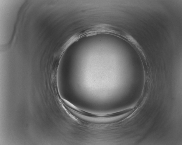 X0000081371385200701111536