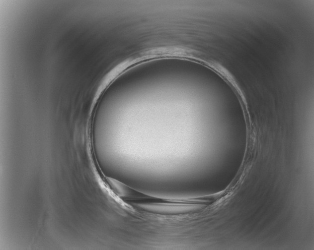 X0000081371389200701111536