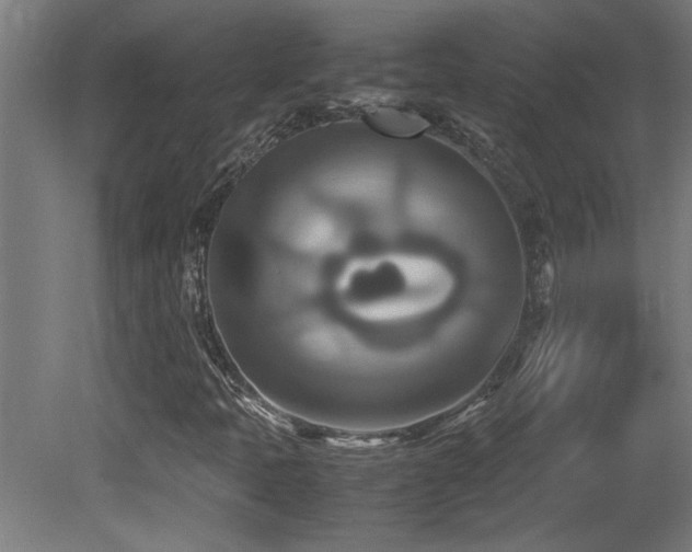 X0000081371397200701111535