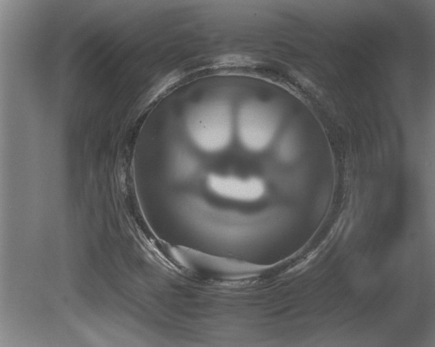 X0000081371401200701111535