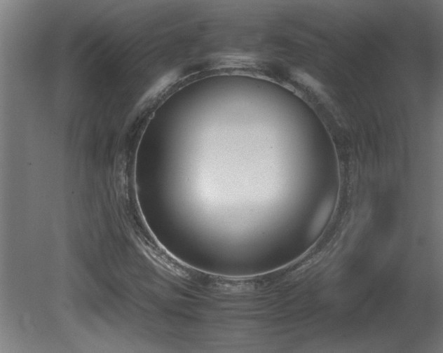 X0000081371403200701111536
