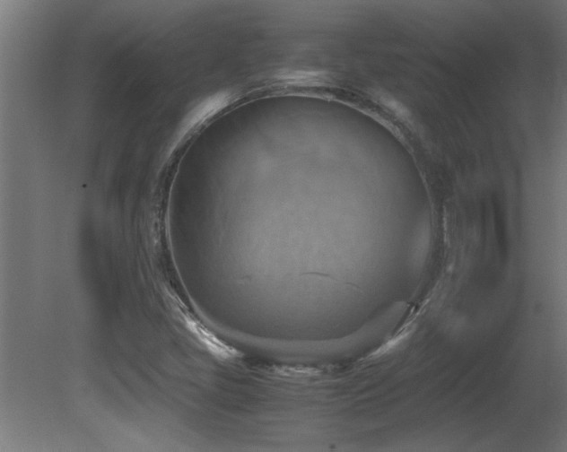 X0000081371405200701111536
