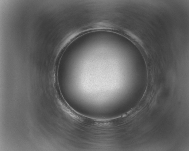 X0000081371415200701111536