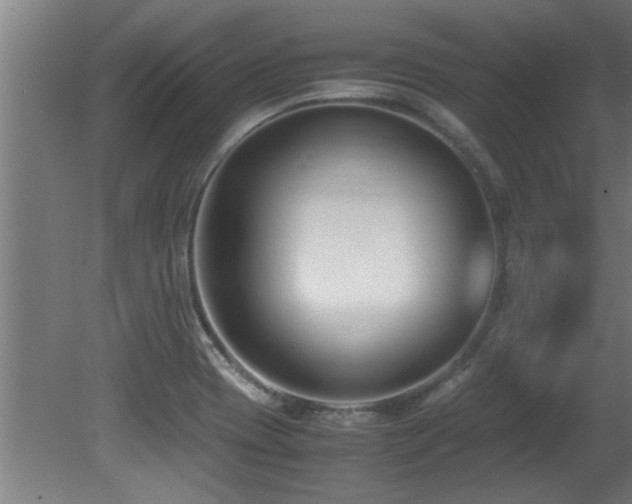 X0000081371417200701111536