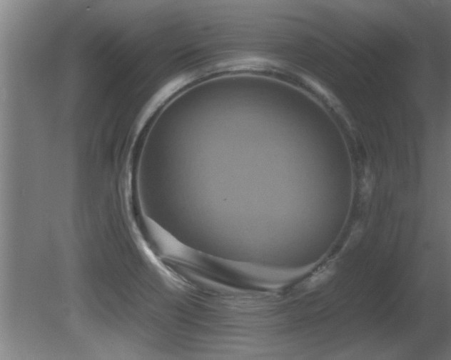 X0000081371418200701111536