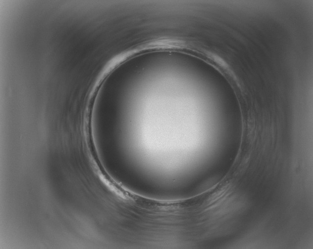 X0000081371421200701111536