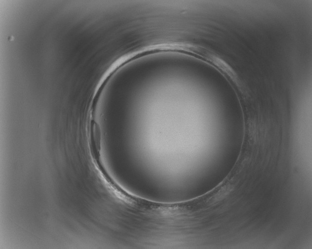 X0000081371428200701111536