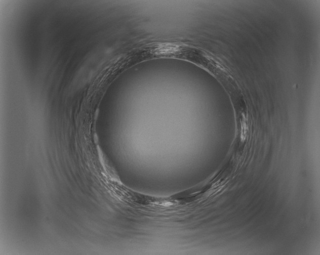 X0000081371441200701111535