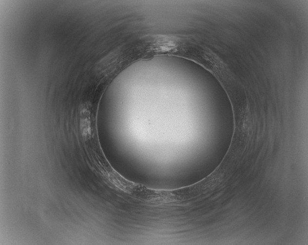 X0000081371442200701111535