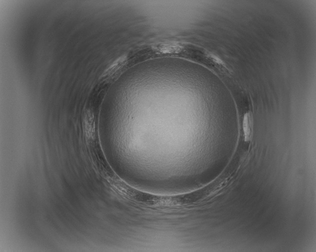 X0000081371443200701111535