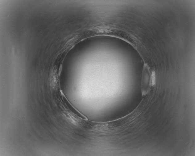 X0000081371444200701111535