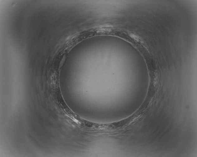 X0000081371445200701111535
