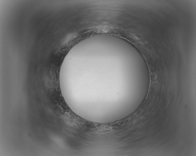 X0000081371446200701111535