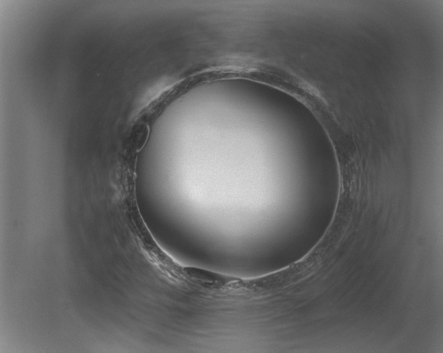 X0000081371448200701111535