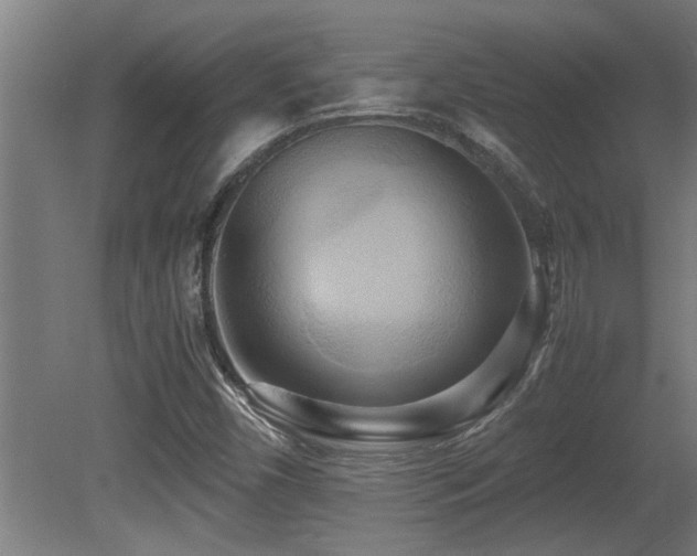 X0000081371450200701111535