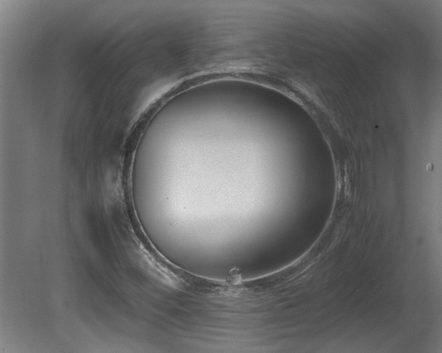 X0000081371452200701111535