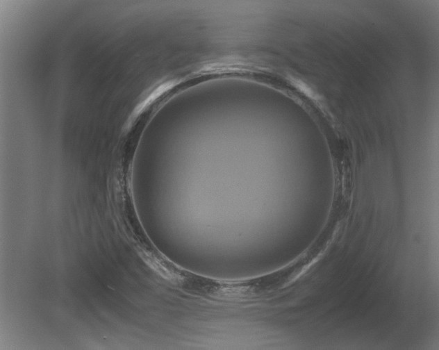 X0000081371453200701111535