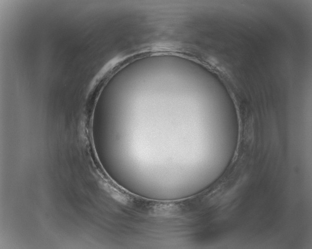 X0000081371454200701111535