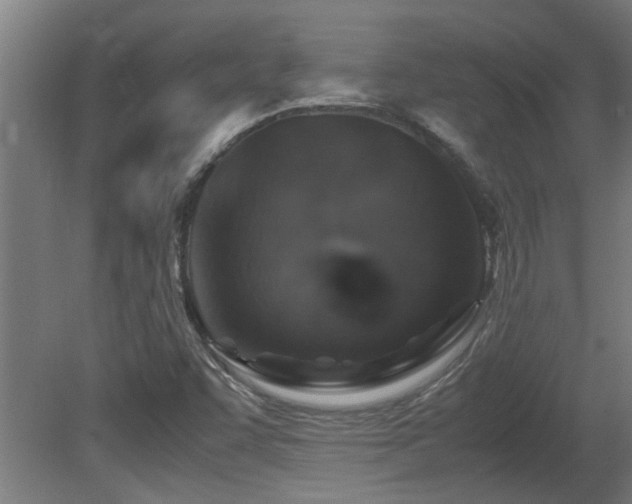 X0000081371455200701111535