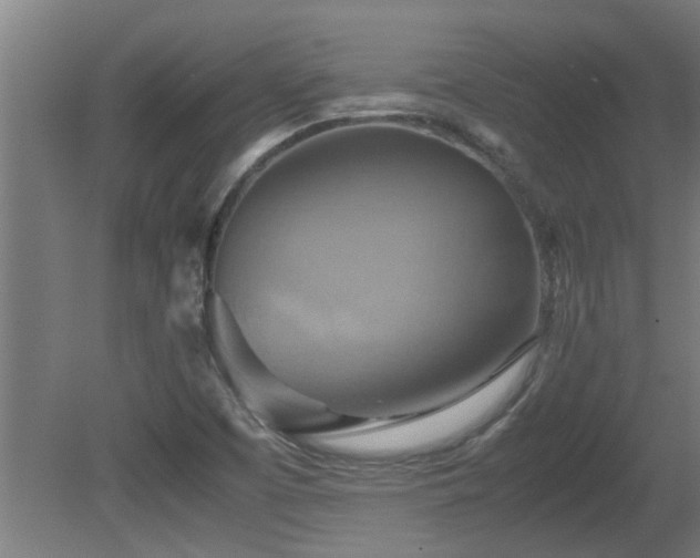 X0000081371457200701111535