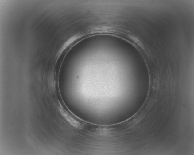 X0000081371458200701111535