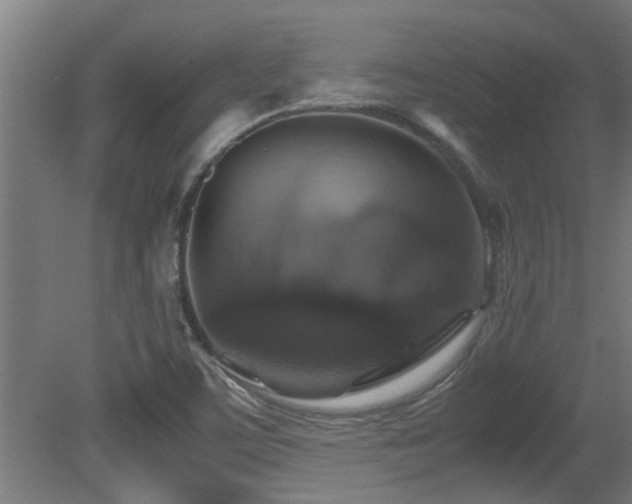 X0000081371459200701111535
