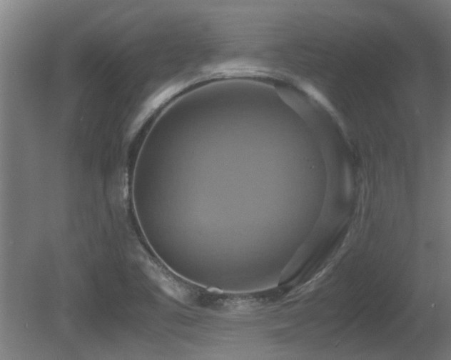 X0000081371461200701111535