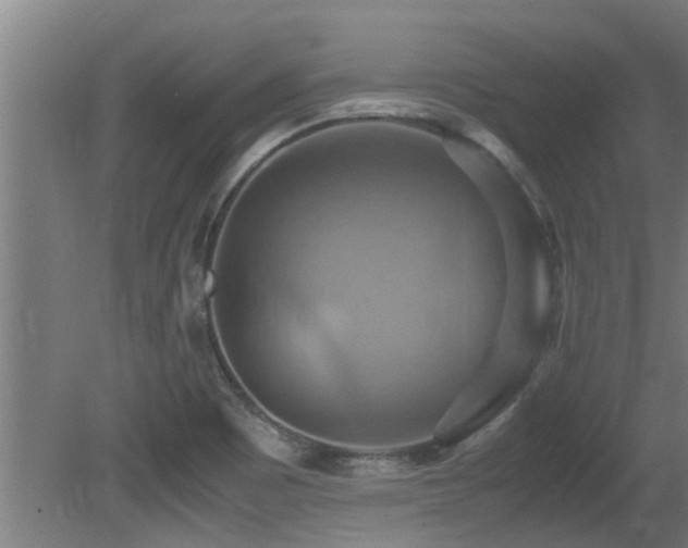 X0000081371465200701111535