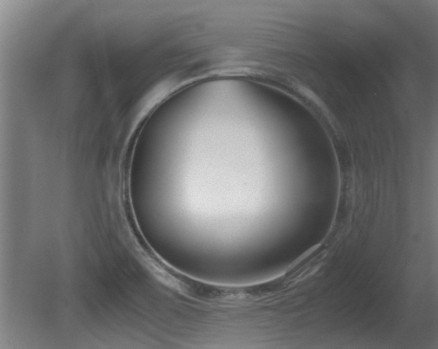 X0000081371467200701111535