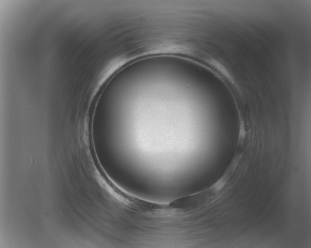 X0000081371468200701111535