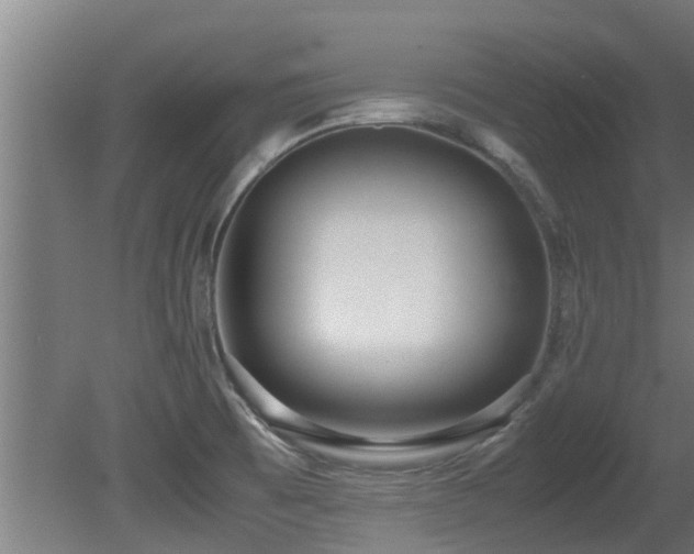 X0000081371473200701111535