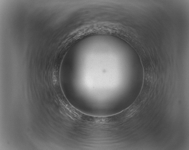 X0000081371490200701111534
