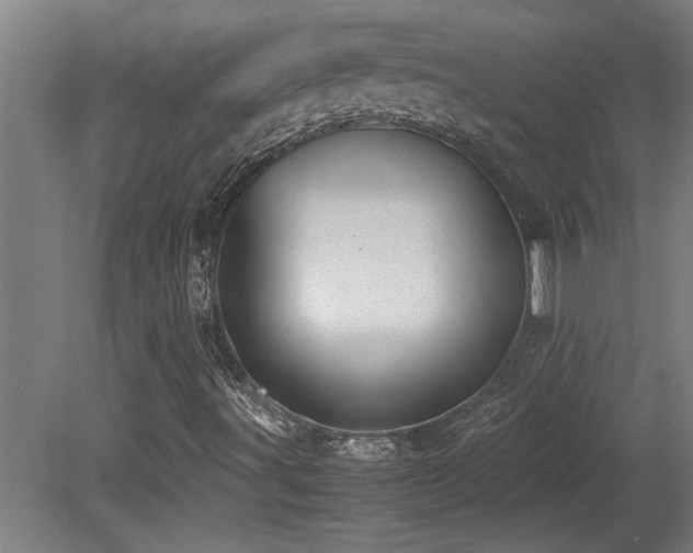 X0000081371491200701111534