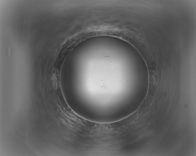 X0000081371493200701111534