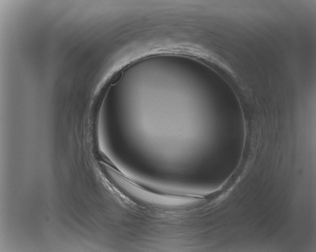 X0000081371506200701111534