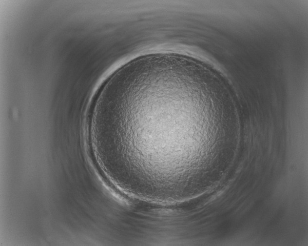 X0000081371517200701111534