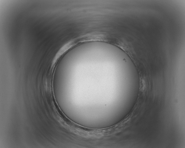 X0000081370004200701182151