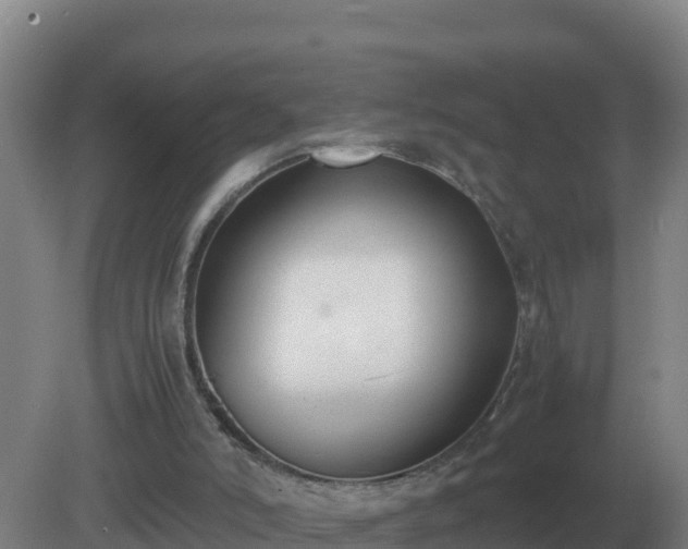 X0000081370006200701182151