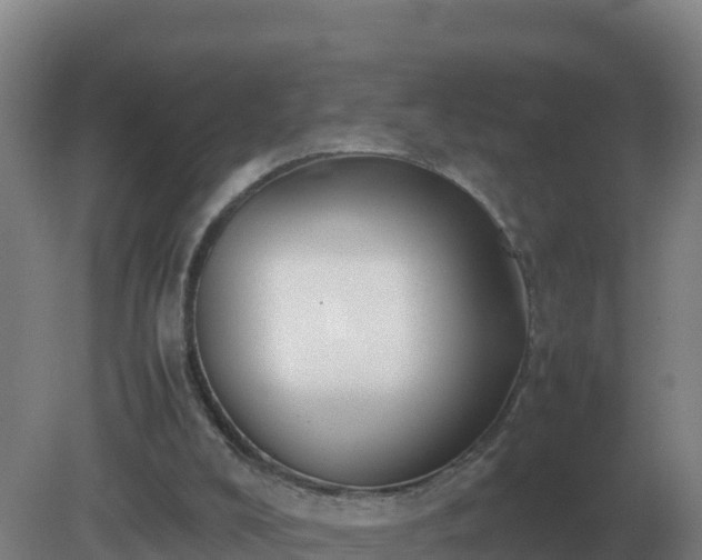 X0000081370008200701182151