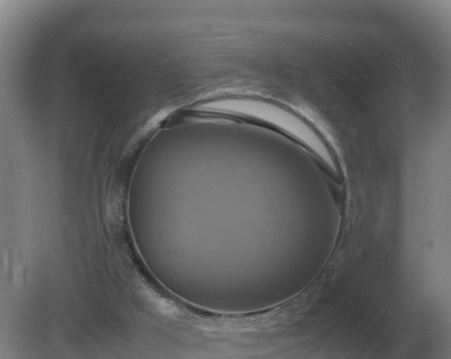 X0000081370009200701182151