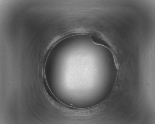 X0000081370011200701182151