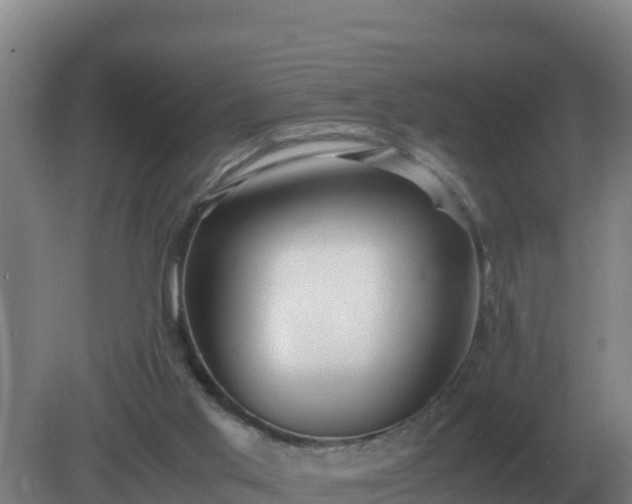 X0000081370013200701182151