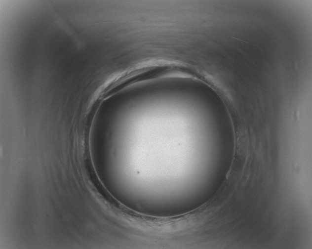 X0000081370015200701182151