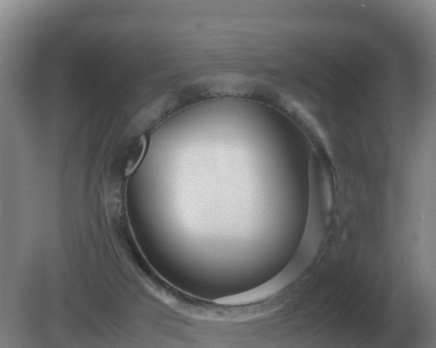 X0000081370017200701182151