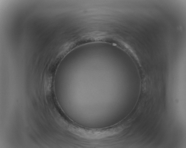 X0000081370018200701182151