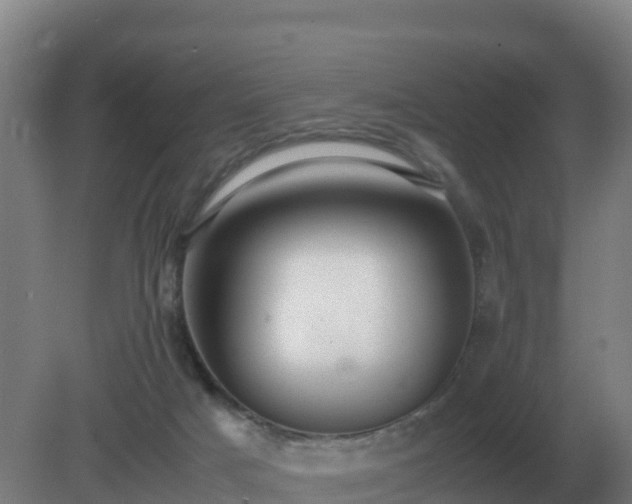 X0000081370025200701182150
