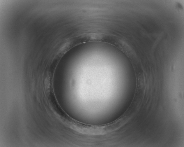 X0000081370032200701182150