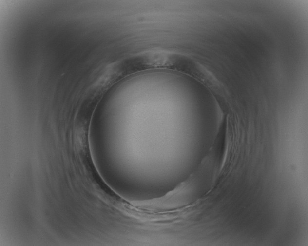 X0000081370035200701182150