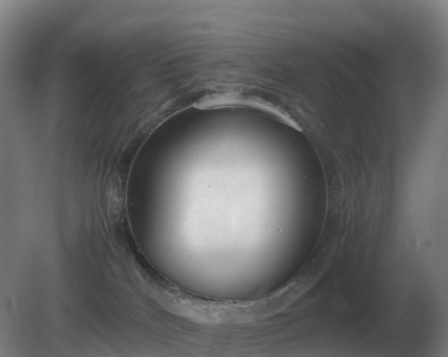 X0000081370040200701182150