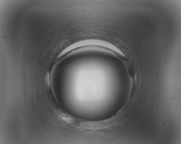 X0000081370041200701182150